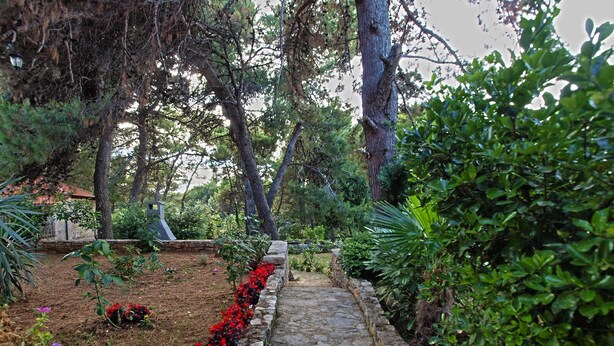 Ein Steinweg schlängelt sich durch einen Garten mit verschiedenen Pflanzen und Bäumen.