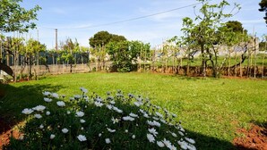 Un jardín con flores blancas y árboles.