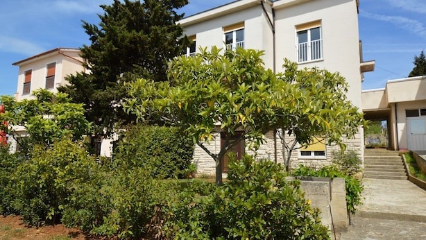 Un edificio moderno de dos pisos con techo plano y un gran árbol en el jardín delantero.