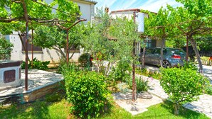 Un giardino con diverse piante e un’auto parcheggiata.