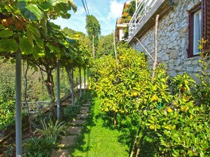 Garden - Apartment 154 (Labin)
