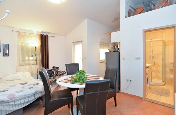 A compact living space with a dining area, a bed, a kitchenette, and a shower.