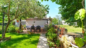 Un jardin avec une table et des chaises, un sentier et différentes plantes.