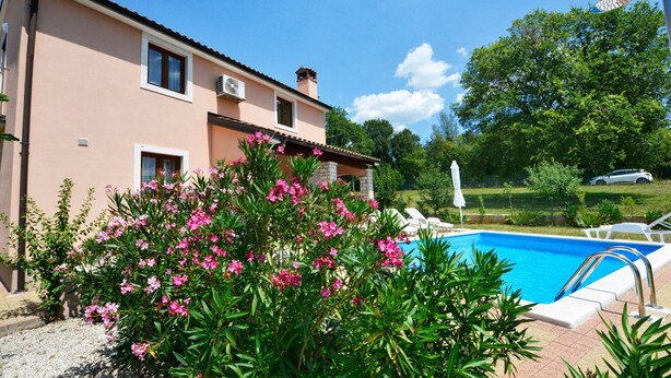 A house with a swimming pool, surrounded by greenery and flowers. - Villa 377 (Tinjan)