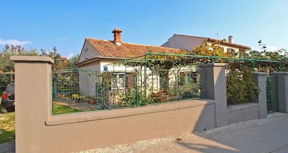House 385
