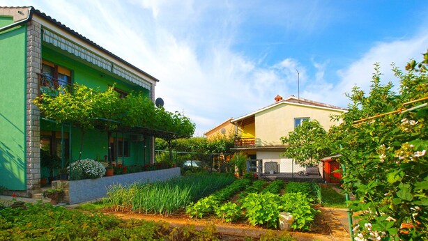 Ein Wohngebiet mit zwei Häusern, eines mit grüner Fassade und das andere mit gelber Fassade. Ein Garten mit verschiedenen Pflanzen und ein Weg zwischen den Häusern.