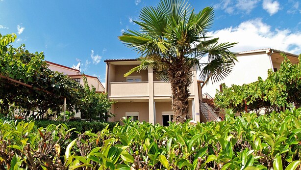 A two-story building with a balcony and a palm tree in front. - Apartment 439 (Fazana)