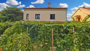 Ein zweistöckiges Haus mit Ziegeldach und Schornstein, umgeben von üppigem Grün und Weinreben.