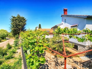 Property grounds - Apartment 535 (Pula)