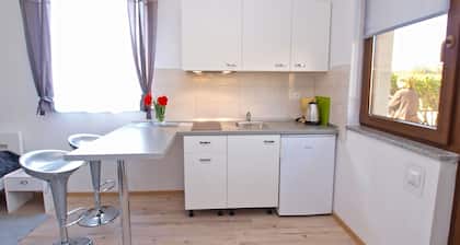 Apartment 589