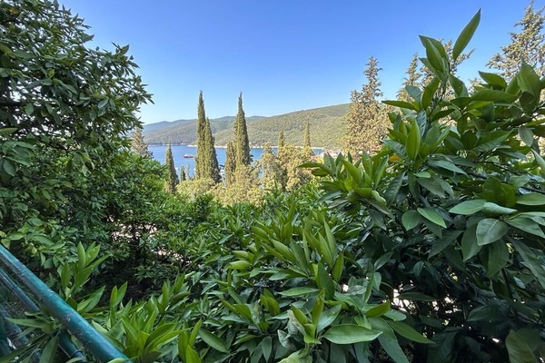 Standard Apartment, 2 Bedrooms (650/1557) | Balcony