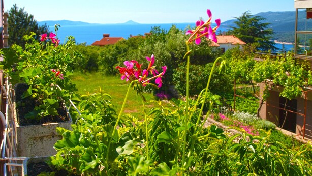 En trädgård med olika växter och blommor, ett staket av metall och en utsikt över havet och bergen i bakgrunden.