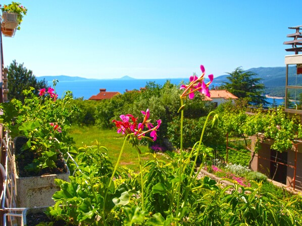 Vue depuis l’hébergement