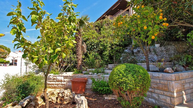 A garden with various plants and a stone wall. - Apartment 761 (Medulin)