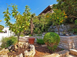 Un jardin avec différentes espèces de plantes et un mur en pierre.