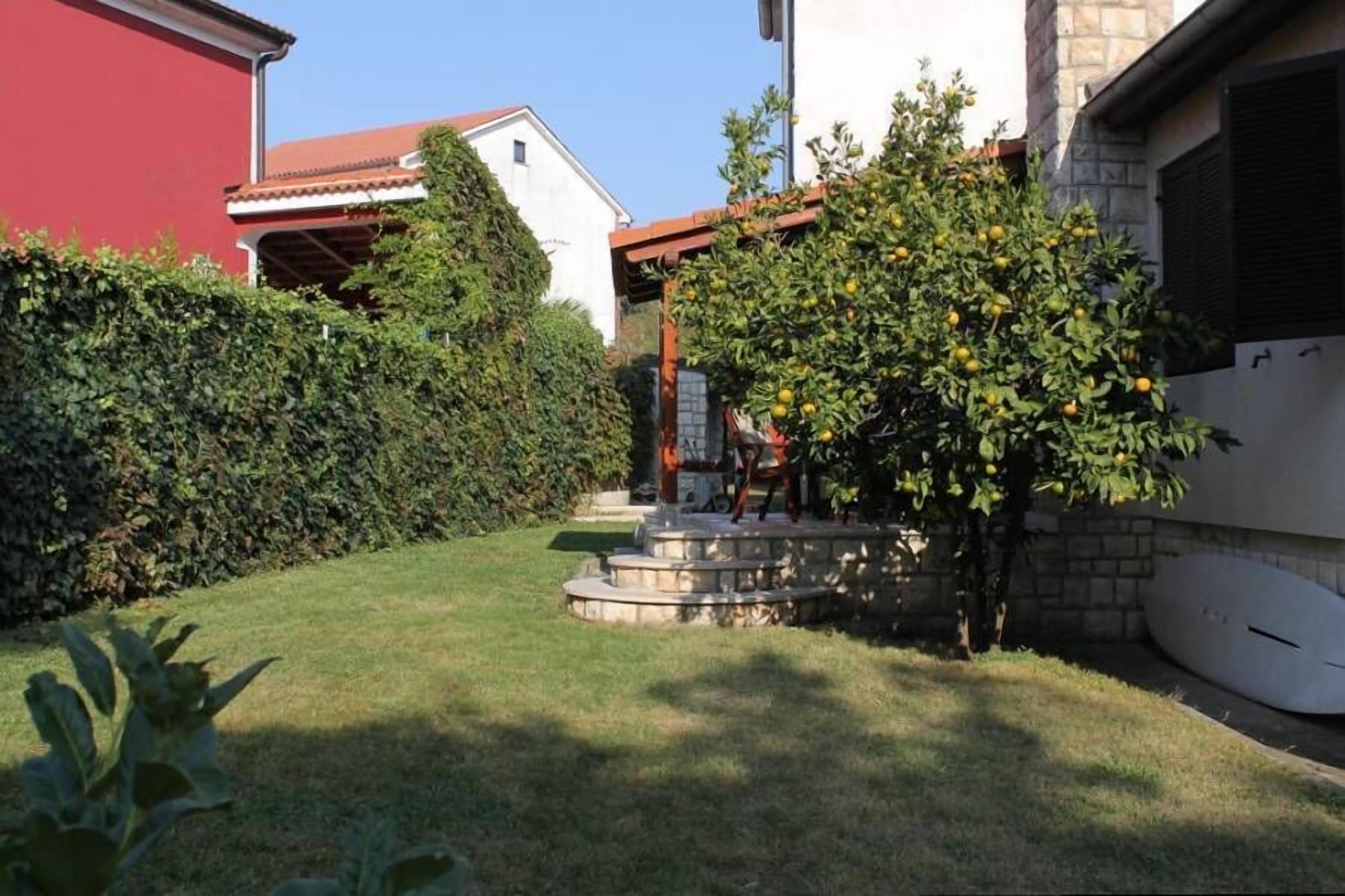 Un jardin résidentiel avec un petit escalier menant à un porche, entouré de haies et d’un arbre aux citrons.
