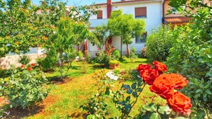 A white building with red chimneys, surrounded by lush greenery and red roses.