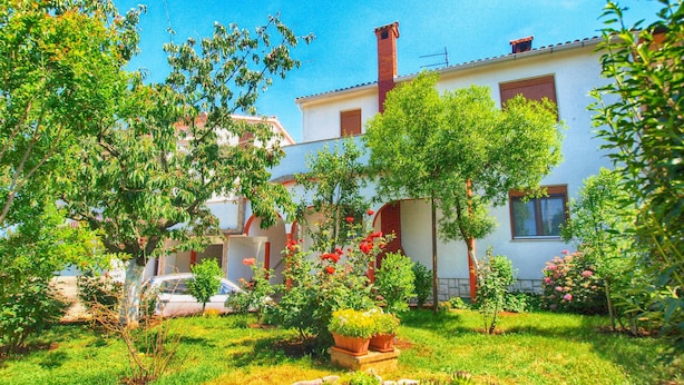 A garden with a white building, a car, and a variety of plants and flowers.