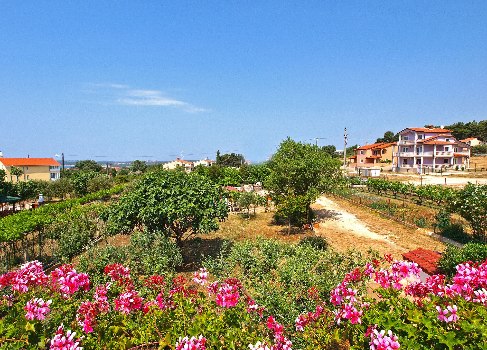 Land view from property