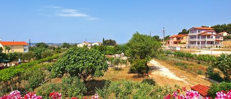 Land view from property