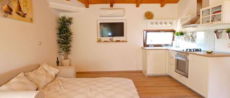 Standard Studio, 1 Bedroom (0238)