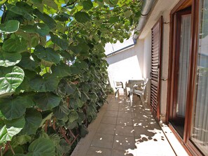 Terrace/patio - Apartment 909 (Fazana)