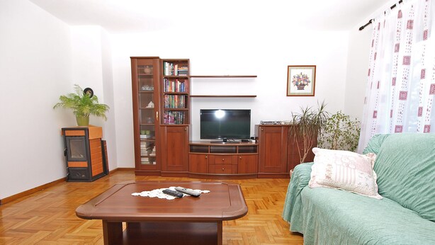 Un salon avec une table basse en bois, un canapé vert, un téléviseur, une bibliothèque et une plante en pot.