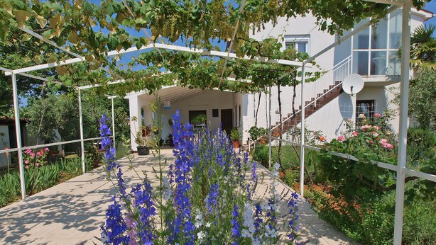 Ein Garten mit einer Pergola, ein weißes Gebäude mit einer Treppe sowie verschiedene Pflanzen und Blumen.