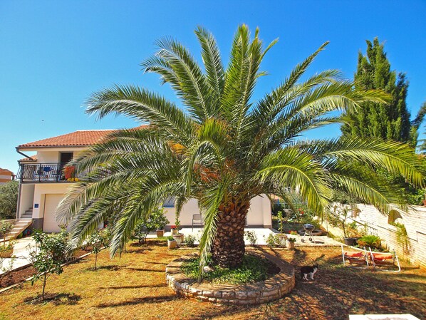 Garden - Apartment 1030 (Fazana)