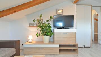 Nhà Tiêu chuẩn, 4 phòng ngủ (0263) | Khu phòng khách | TV