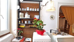 A compact kitchen with a stove, shelves with kitchenware, a potted plant, and a window. - Apartment 1050 (Rovinj)