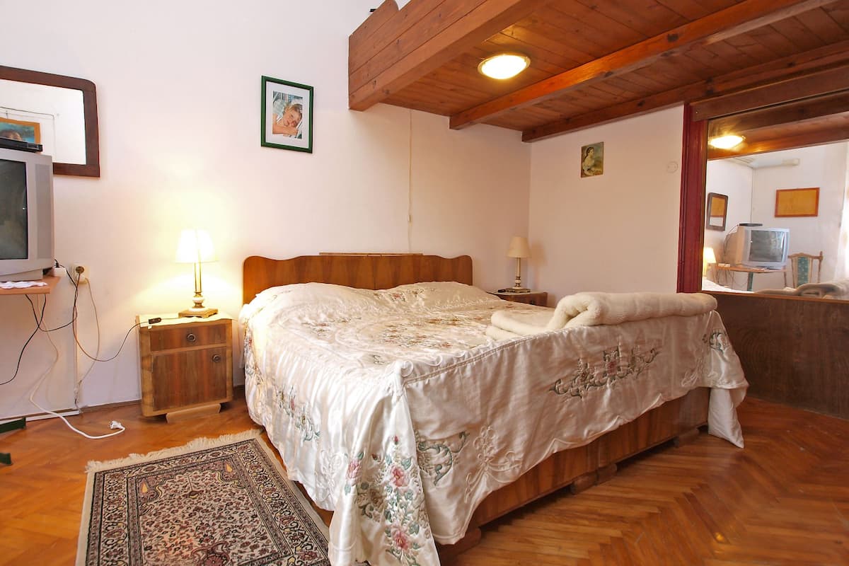 A bedroom with a wooden bed, a bedside table with a lamp, a rug, and a television on a stand.
