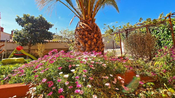 حديقة