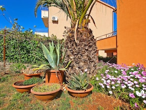 En have med forskellige potteplanter og blomster, heriblandt en stor aloe vera og en blomstrende plante med lyserøde og hvide blomster.