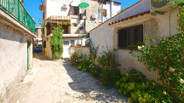 A narrow cobblestone street flanked by buildings with balconies, some with plants and flowers. - Apartment 1123 (Vodnjan)