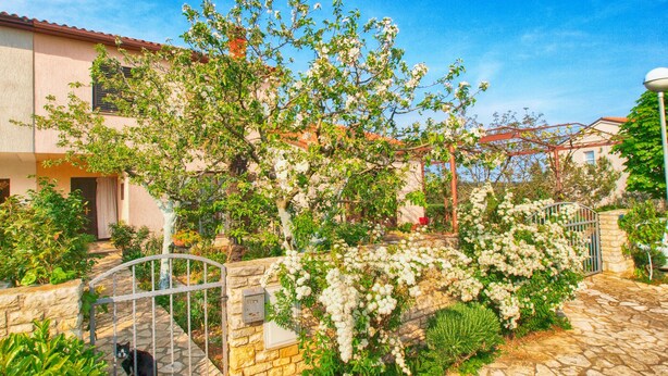 Un patio con suelo de piedra, una reja de metal y un árbol con flores blancas.