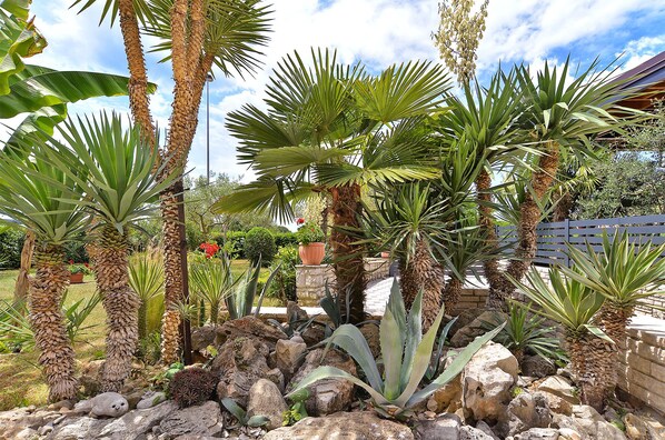 Un jardín con palmeras, plantas de agave y un sendero de piedra.