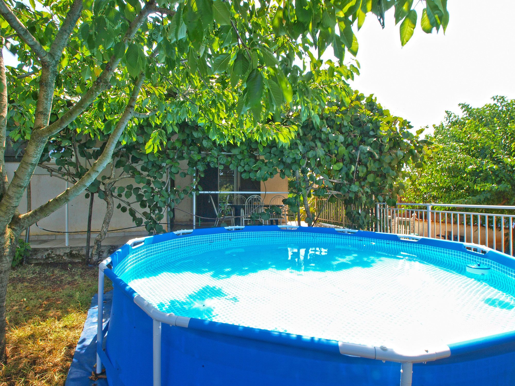 An outdoor swimming pool surrounded by trees.