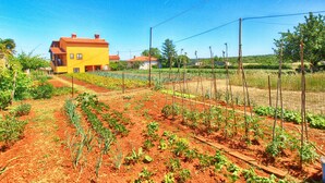 A yellow house with a red roof, surrounded by a vegetable garden with rows of plants and a wooden fence. - Apartment 1382 (Marcana)