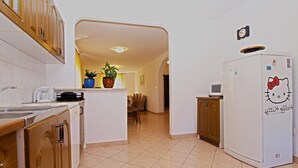 A kitchen with wooden cabinets, a white refrigerator with a Hello Kitty sticker, and a potted plant on the counter. - Apartment 1382 (Marcana)