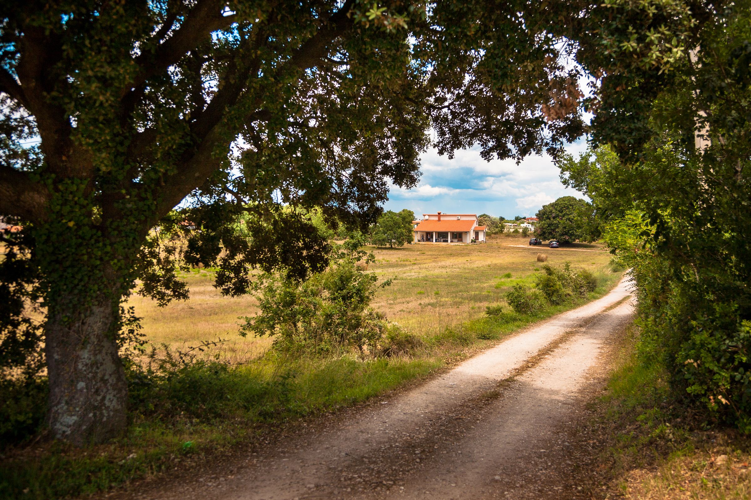A rural road leading to a house with a red roof, surrounded by trees and open fields.