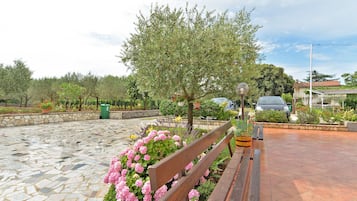 Teras/patio
