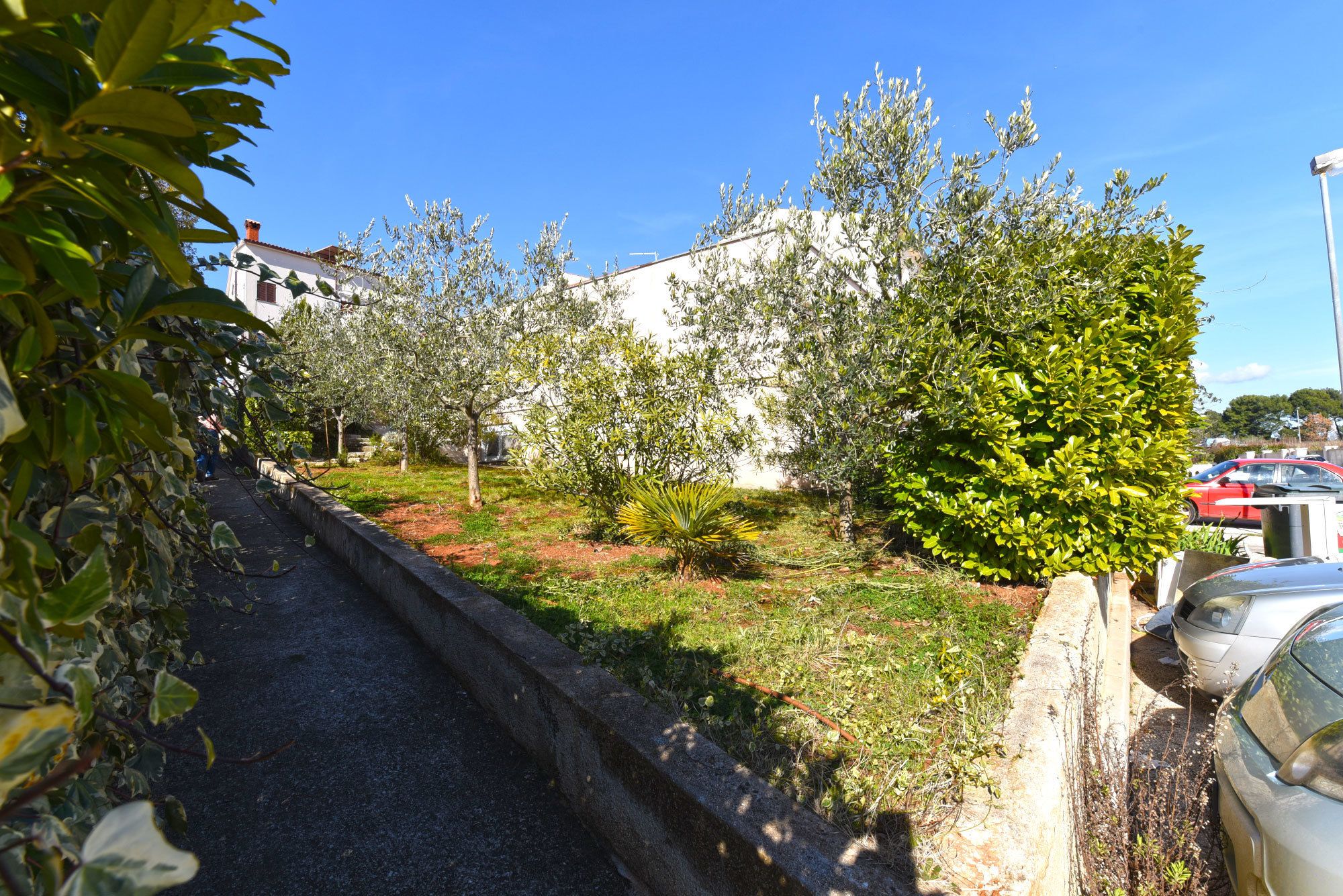 A narrow road flanked by greenery and parked cars.