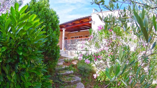 En sti, der fører til et overdækket udendørsområde med en pergola, omgivet af frodig vegetation og blomstrende planter.