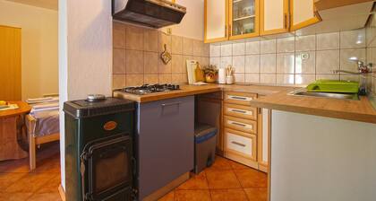 Apartment 1573