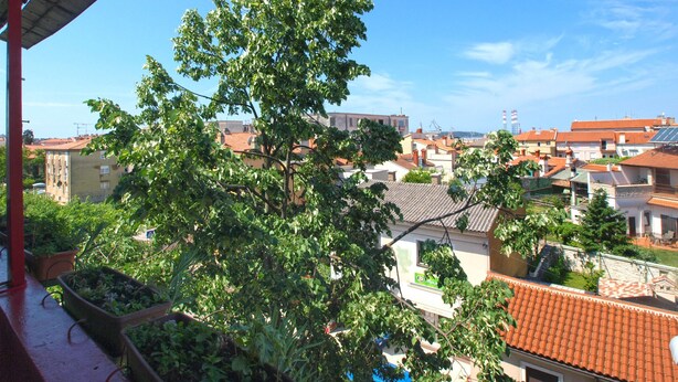 A balcony with potted plants, a view of a residential area with terracotta roofs, and a clear blue sky. - Apartment 1635 (Pula)