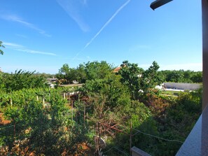 Standard Apartment, 2 Bedrooms (1638/16850) | View from room - Apartment 1638 (Medulin)