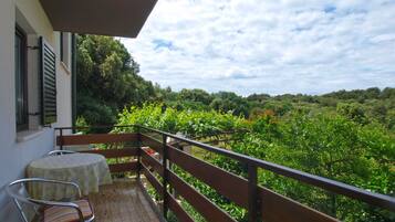Standard Apartment, 2 Bedrooms (1644/16953) | Balcony view