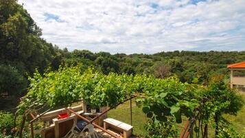 Blick von der Unterkunft