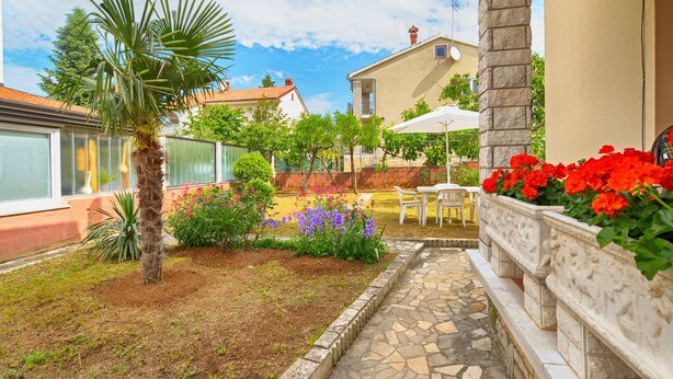 Une cour avec un chemin en pierre, un palmier et diverses variétés de fleurs.